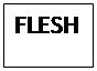 Text Box: FLESH