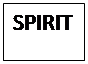 Text Box: SPIRIT